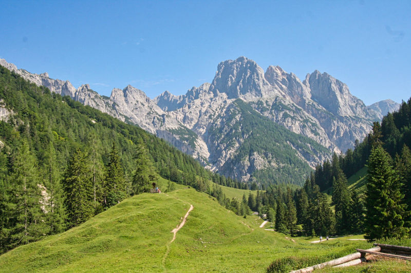Zimmer_1